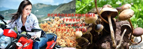 герыч Алзамай